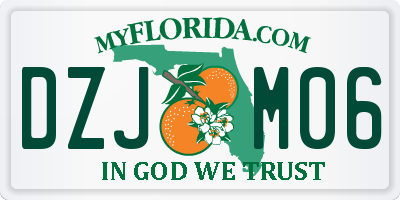 FL license plate DZJM06
