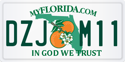 FL license plate DZJM11