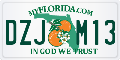 FL license plate DZJM13