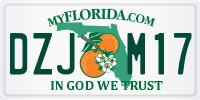 FL license plate DZJM17
