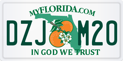 FL license plate DZJM20