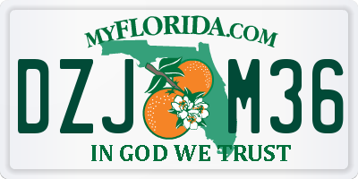 FL license plate DZJM36