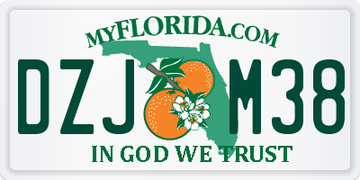 FL license plate DZJM38