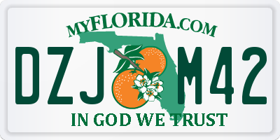 FL license plate DZJM42