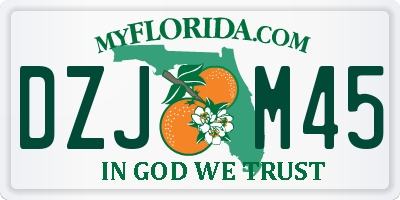 FL license plate DZJM45
