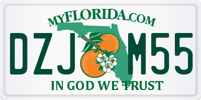 FL license plate DZJM55