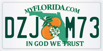 FL license plate DZJM73