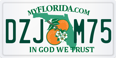 FL license plate DZJM75