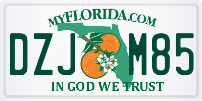 FL license plate DZJM85
