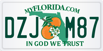FL license plate DZJM87
