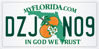 FL license plate DZJN09