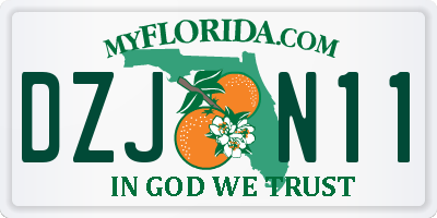 FL license plate DZJN11