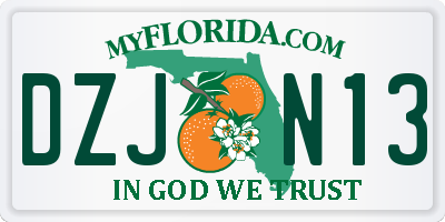FL license plate DZJN13