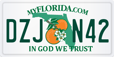 FL license plate DZJN42