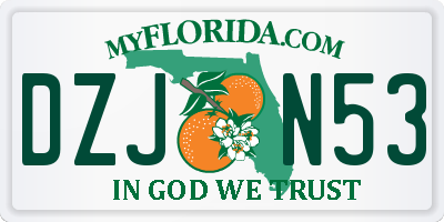 FL license plate DZJN53