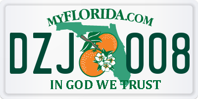FL license plate DZJO08