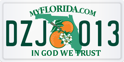 FL license plate DZJO13