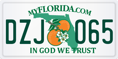 FL license plate DZJO65