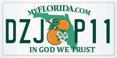 FL license plate DZJP11
