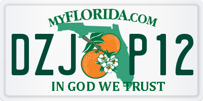 FL license plate DZJP12