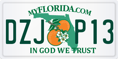 FL license plate DZJP13