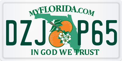 FL license plate DZJP65