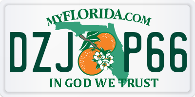 FL license plate DZJP66