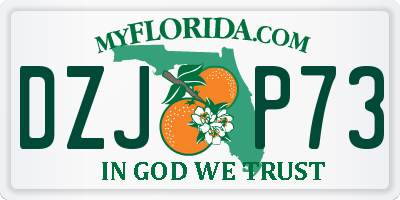 FL license plate DZJP73