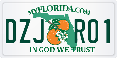FL license plate DZJR01