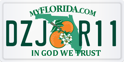 FL license plate DZJR11