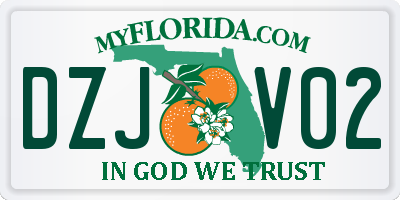 FL license plate DZJV02