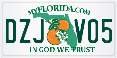 FL license plate DZJV05