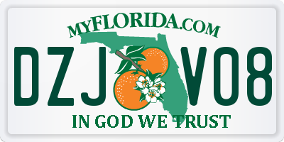 FL license plate DZJV08