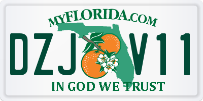 FL license plate DZJV11