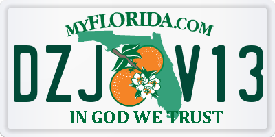 FL license plate DZJV13