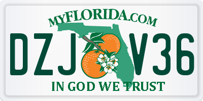 FL license plate DZJV36