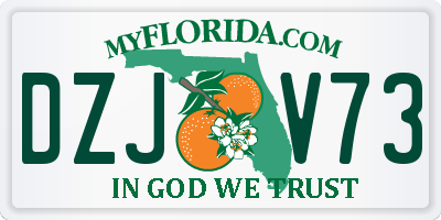 FL license plate DZJV73