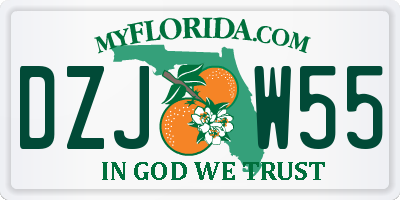 FL license plate DZJW55