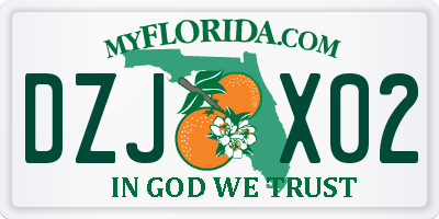 FL license plate DZJX02