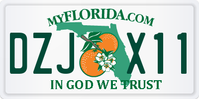 FL license plate DZJX11