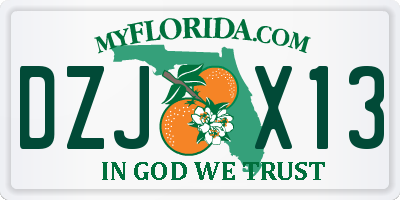 FL license plate DZJX13
