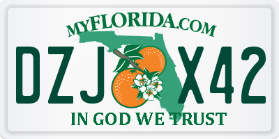 FL license plate DZJX42