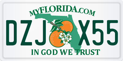 FL license plate DZJX55