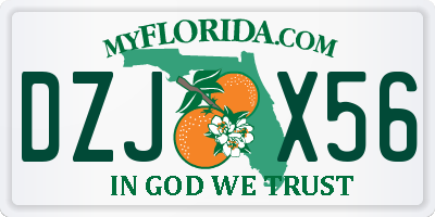 FL license plate DZJX56