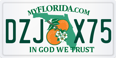 FL license plate DZJX75