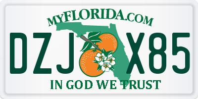 FL license plate DZJX85