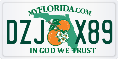 FL license plate DZJX89