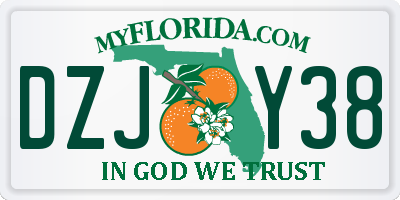 FL license plate DZJY38