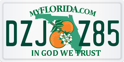 FL license plate DZJZ85