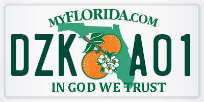 FL license plate DZKA01